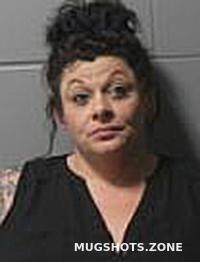 WHITAKER AMBER NICOLE 11 22 2022 Clinton County Mugshots Zone