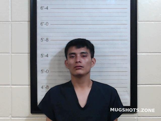 Chocul Coc Alfanso Coffee County Mugshots Zone