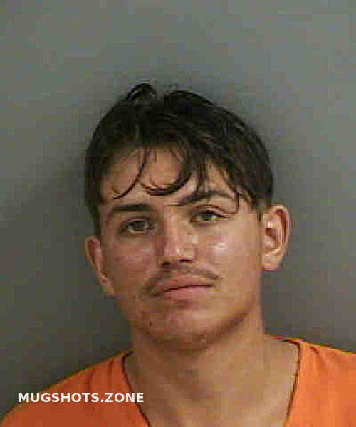 Villatorojjoya Kevin Misael Collier County Mugshots Zone