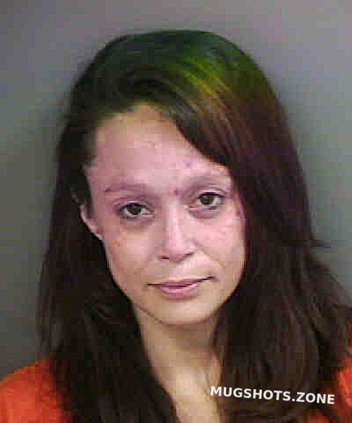 Story Alexis Ashley Collier County Mugshots Zone