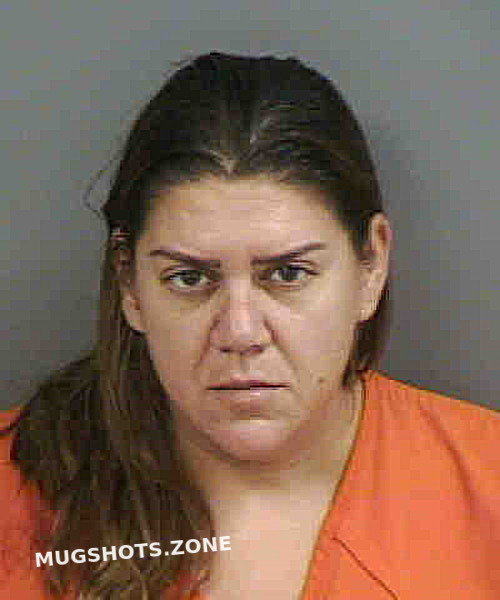 Ramos Francys Collier County Mugshots Zone