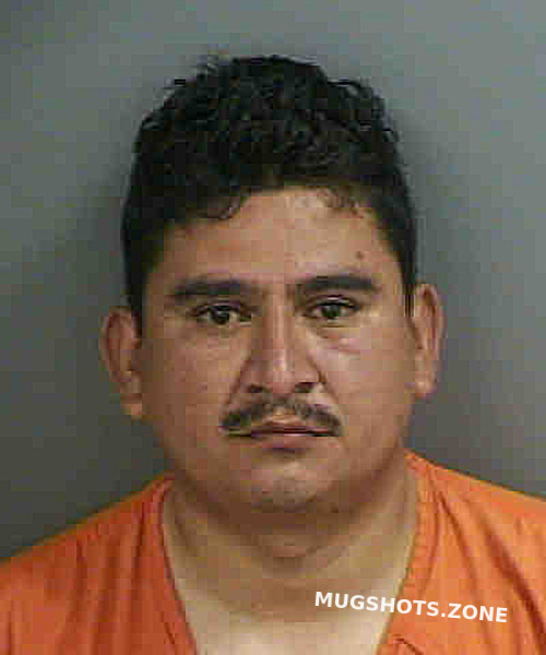 Cruzgonzalez Rafael Collier County Mugshots Zone