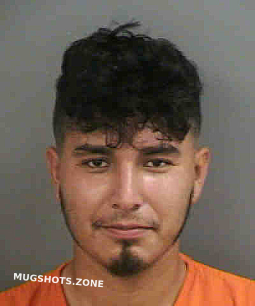 Murillo Jose J Collier County Mugshots Zone