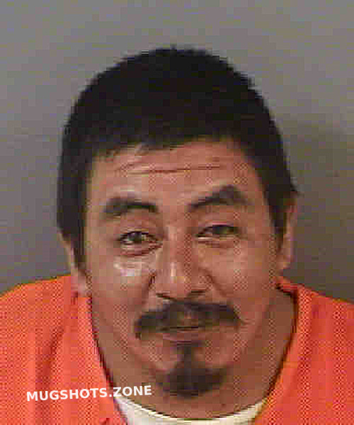 HERNANDEZCRUZ MIGUEL 08 05 2022 Collier County Mugshots Zone