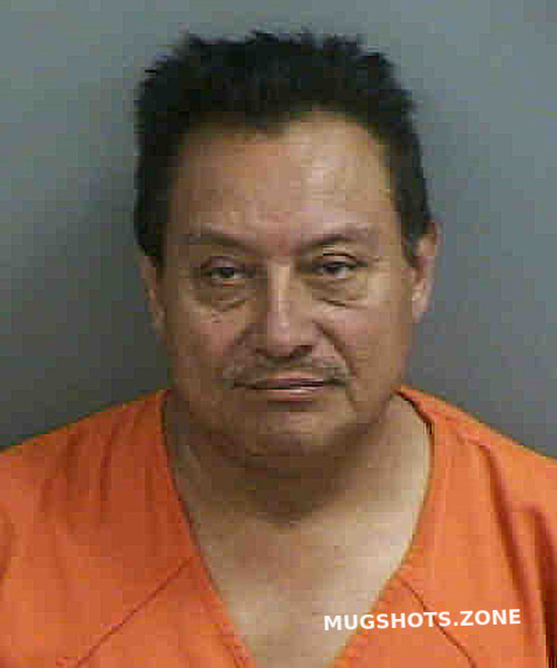 Maldonado Fredy Collier County Mugshots Zone