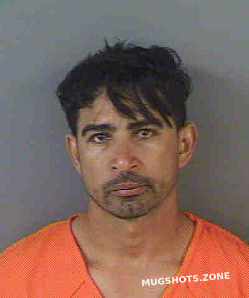 Quirinoxavier Antonio Collier County Mugshots Zone