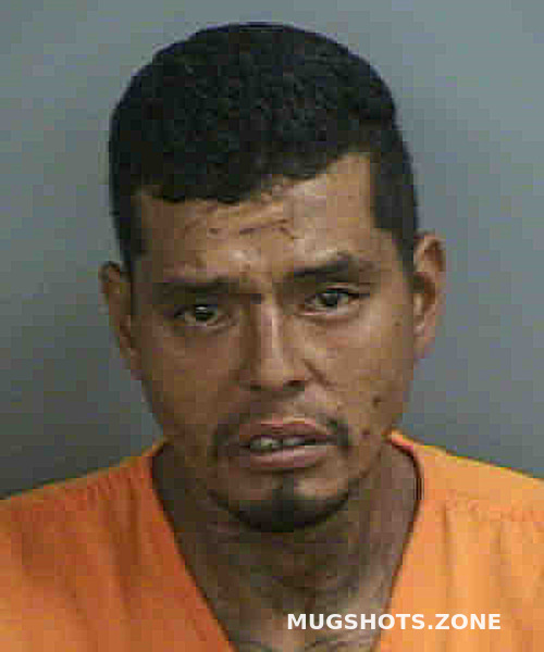 VALERO MARCO 10 12 2022 Collier County Mugshots Zone