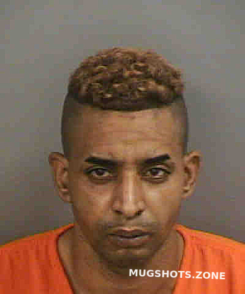 FABREMUSTELIER ADRIAN 11 14 2022 Collier County Mugshots Zone