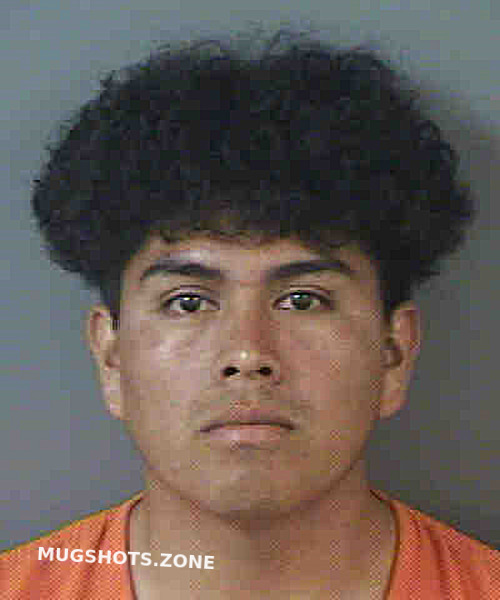 GASPARSEBASTIAN MARCO ANTONIO 02 10 2023 Collier County Mugshots Zone