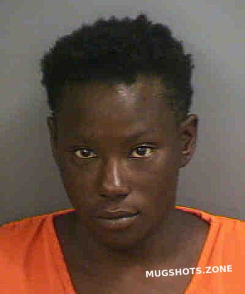 Williams Ida Mae Collier County Mugshots Zone