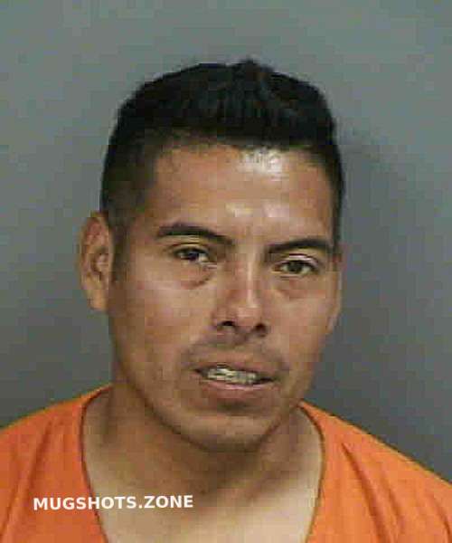 Mendezmorales Alvaro Frederico Collier County Mugshots Zone