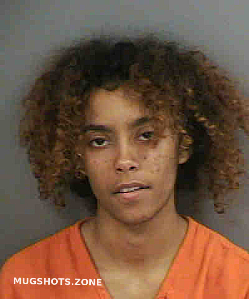 Fontanez Aaliyah Collier County Mugshots Zone