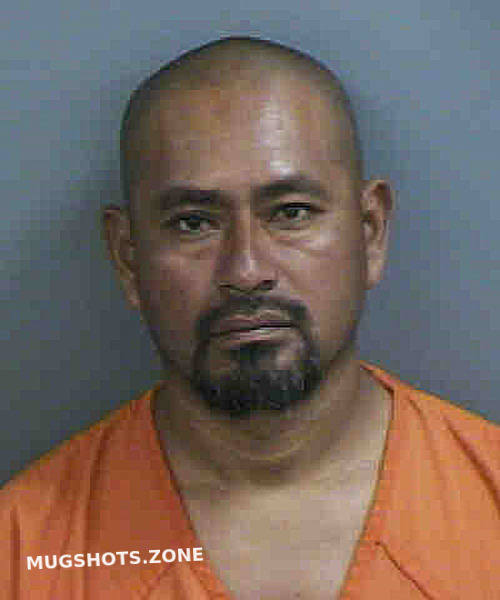 MARTINEZ ADOLFO 06 25 2023 Collier County Mugshots Zone