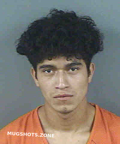 Jordandeleon Jose Ronaldo Collier County Mugshots Zone