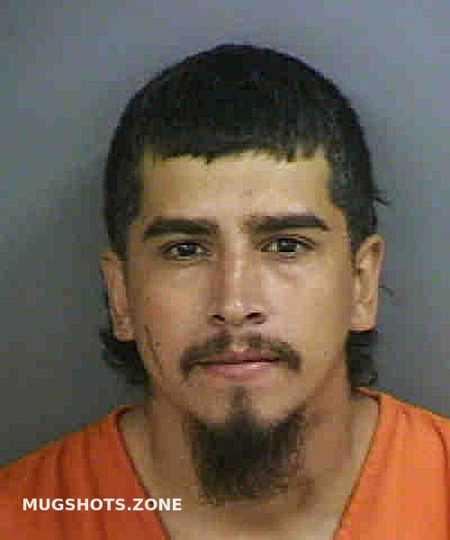 Ponce Jorge Collier County Mugshots Zone