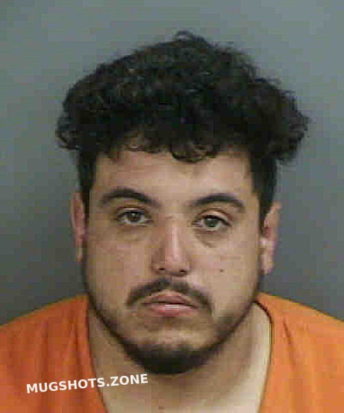 ALFONSO ANDRES ARMANDO 07 28 2023 Collier County Mugshots Zone