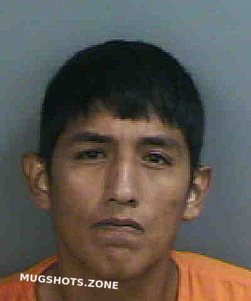 Yaringanoanco Jose Johann Collier County Mugshots Zone