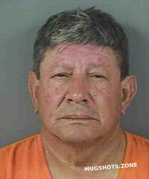 Cuello Abel Collier County Mugshots Zone