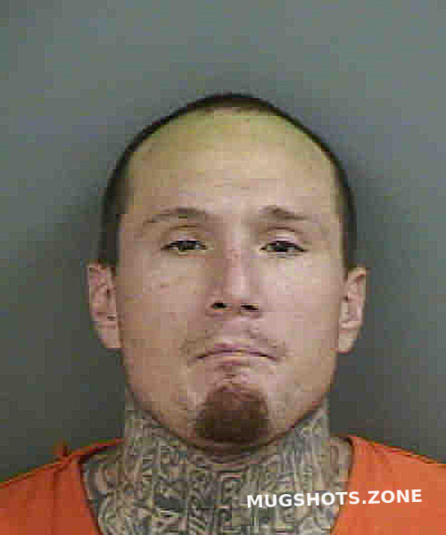 Gill Christopher Collier County Mugshots Zone