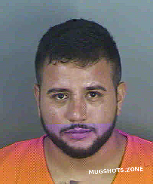 Zamora Jaime Collier County Mugshots Zone