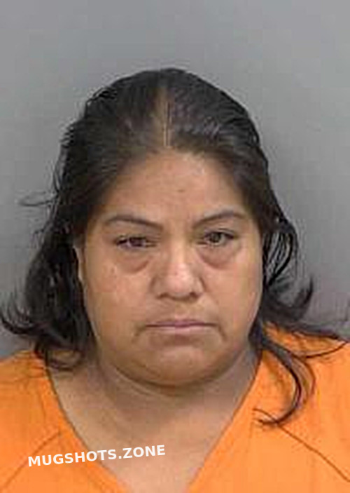 Rosasgarcia Carolina Collier County Mugshots Zone