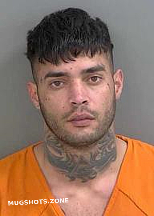 Gonzalez Lara Dayron Collier County Mugshots Zone