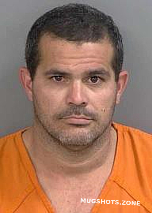 Valdes Yoislandi Collier County Mugshots Zone