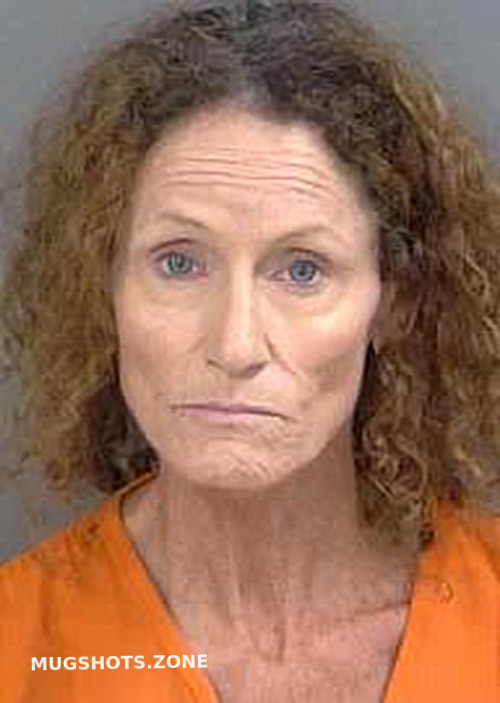 Arnes Jennifer Collier County Mugshots Zone