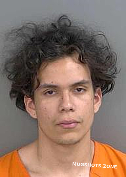 Borrellarmas Abel Collier County Mugshots Zone