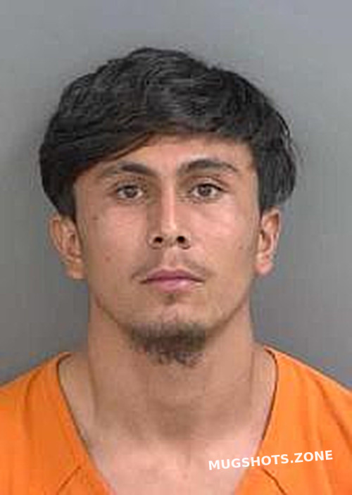 Davila Carlos Collier County Mugshots Zone