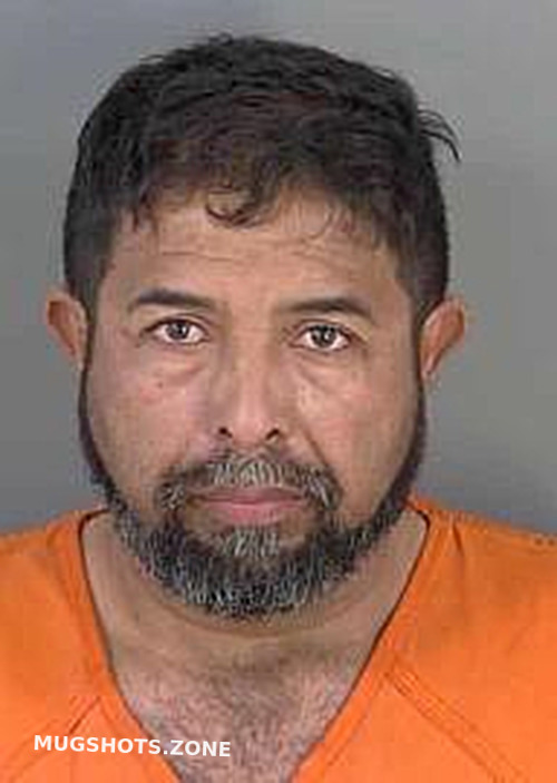 Avila Erazo Hector Raul Collier County Mugshots Zone