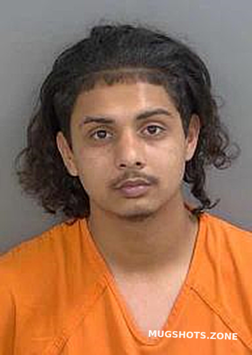 Tersy Dontae Eovanni Collier County Mugshots Zone