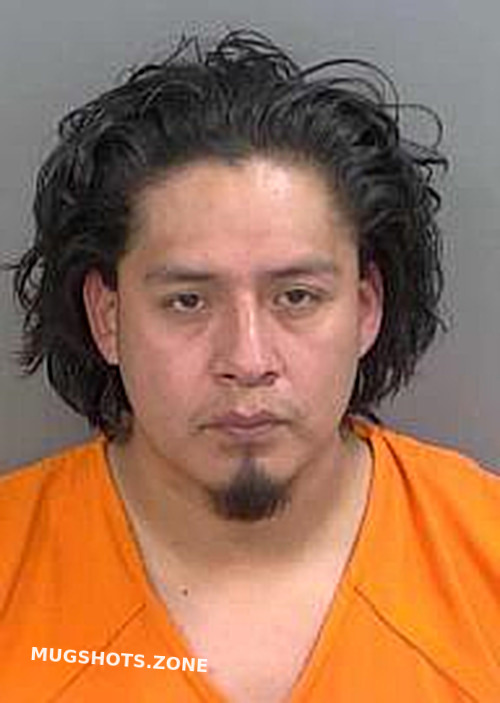 Luisvasquez Sergio Collier County Mugshots Zone