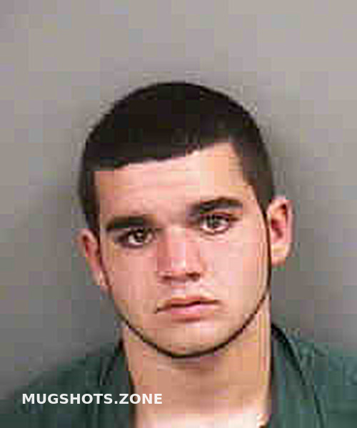 Dimolfetta Nicholas Collier County Mugshots Zone