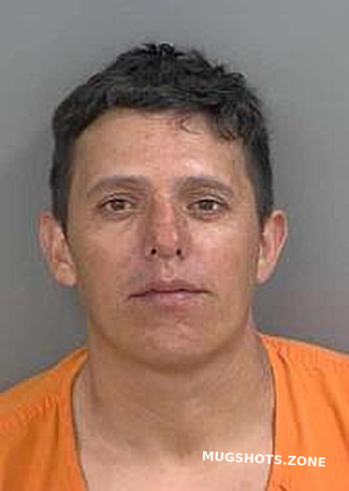 VELASQUEZ CASTRO JOSE DOMINGO 04 25 2024 Collier County Mugshots Zone