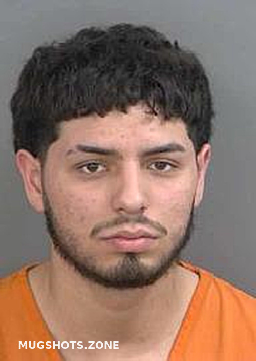 MONTOYAESPINOSA DAVID 04 27 2024 Collier County Mugshots Zone