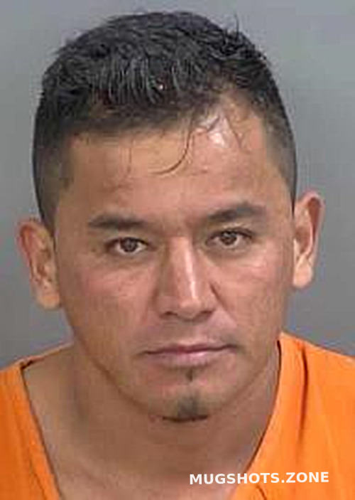 Garciatrejo Eduardo Collier County Mugshots Zone