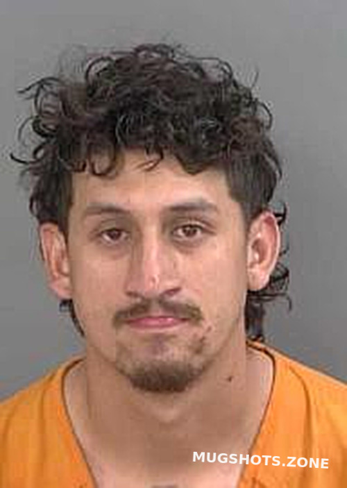 Valdez Gaston Collier County Mugshots Zone