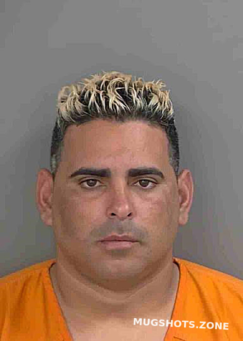 Falconcasanova Tomas Collier County Mugshots Zone