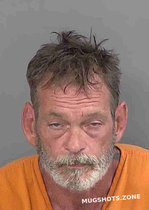 Palmer Michael Wesley Collier County Mugshots Zone