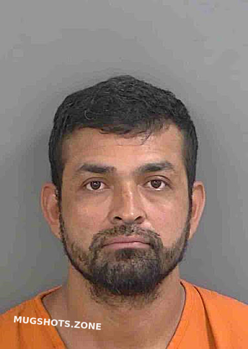 NAVARROPINEDA EDDY A 06 20 2024 Collier County Mugshots Zone