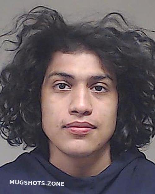 Gonzalez Cristobal Collin County Mugshots Zone