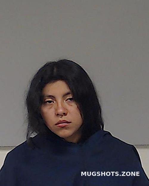 SALMERON DANNA 10 15 2022 Collin County Mugshots Zone