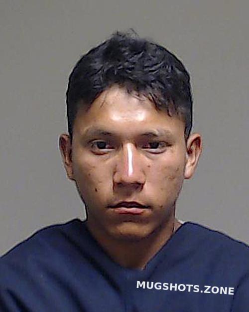 Hernandez Armando Collin County Mugshots Zone