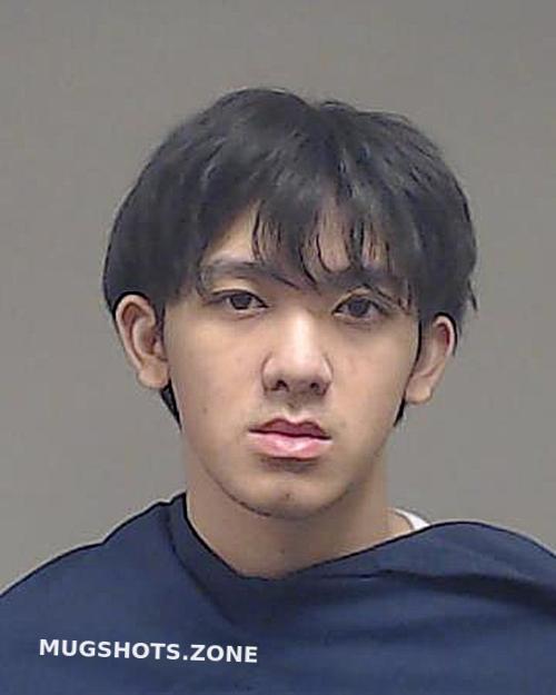 Nguyen Devin Dat Collin County Mugshots Zone