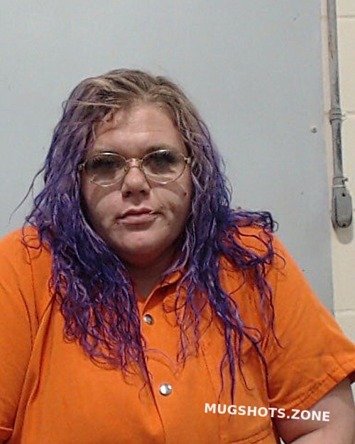 ELIXSON HEATHER NICOLE Columbia County Mugshots Zone