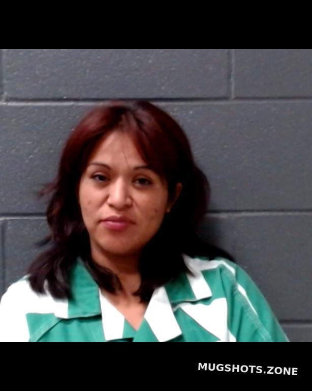 Aleman Elizabeth Comal County Mugshots Zone