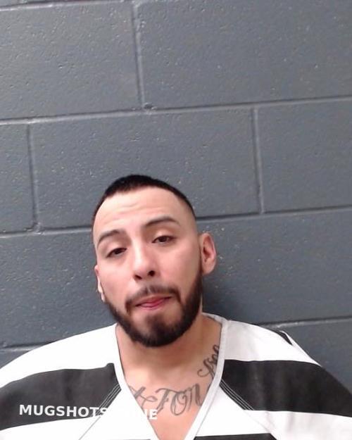 Gonzales Mario Carlos Comal County Mugshots Zone