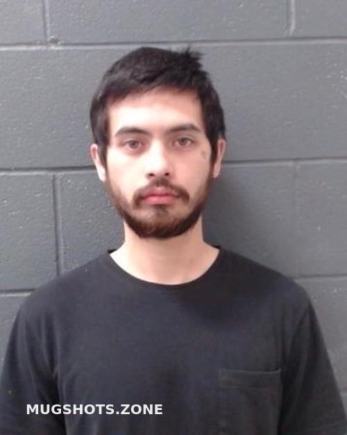 TRAN ALEXANDER LE 02 10 2022 Comal County Mugshots Zone