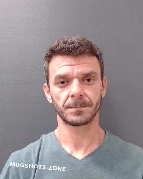 Radu George Comal County Mugshots Zone